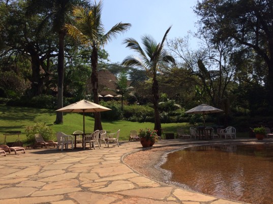 01f931ac759561826238802ceaa0a6744d46942605