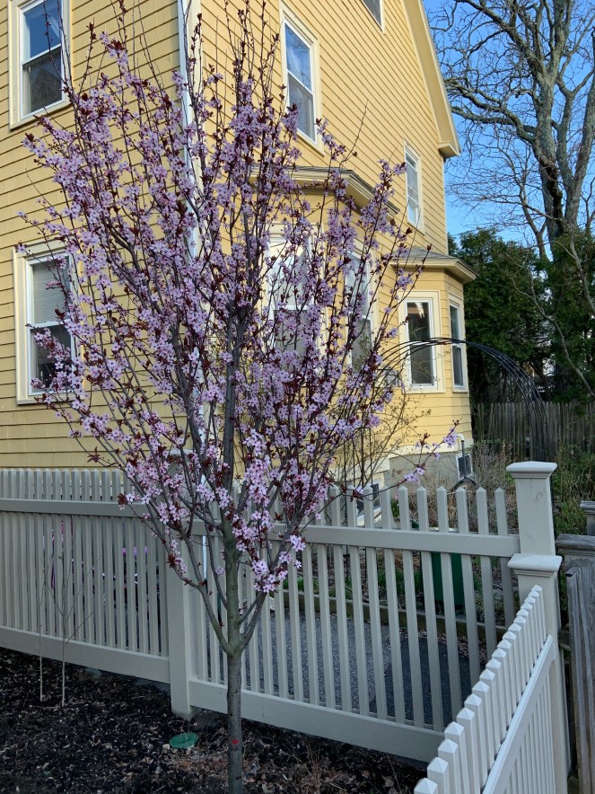 otuxKC2fQxO05l9rjUW1Rw