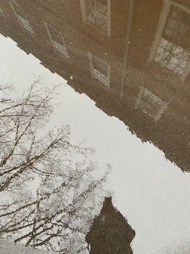 XTY8h8hiSjO7tK0ntYpoJA