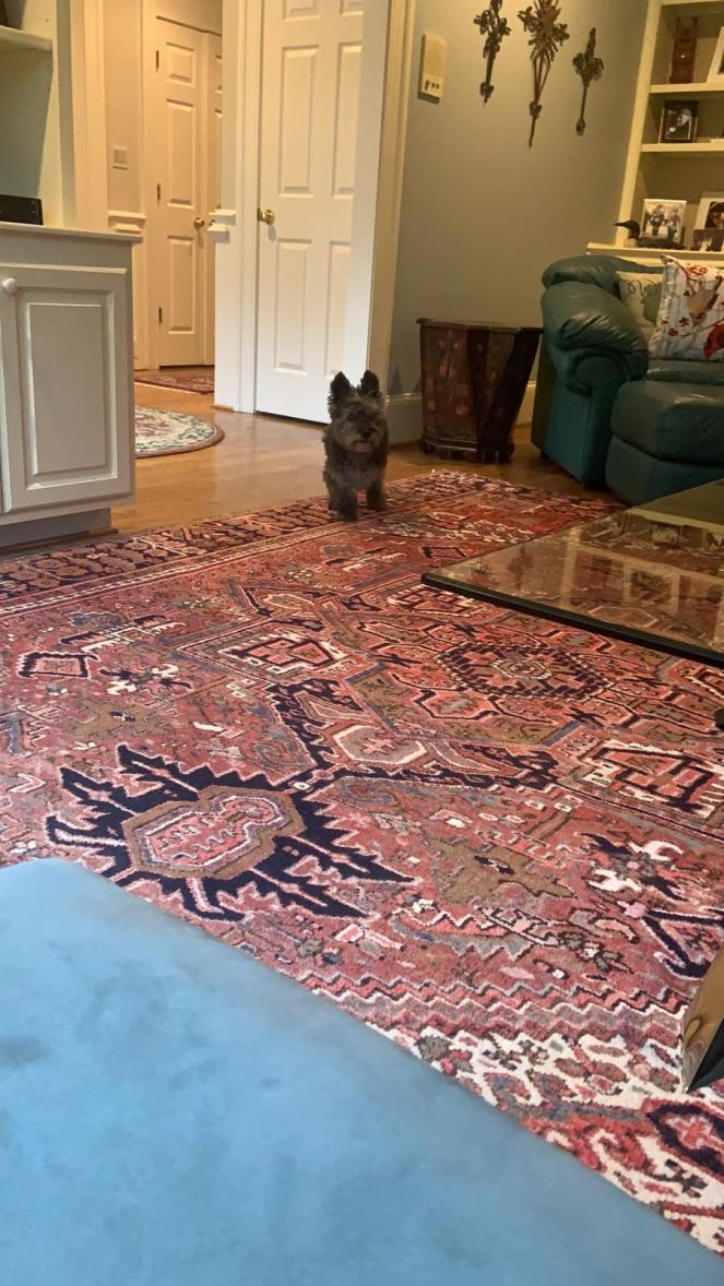 4b162a32-40cf-48e7-ab28-5e128837bd04