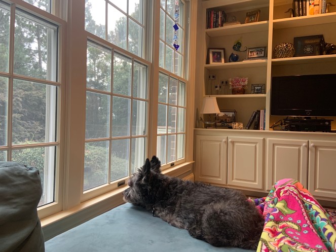 BYfQCNy8RvepQuBxXg3FPg