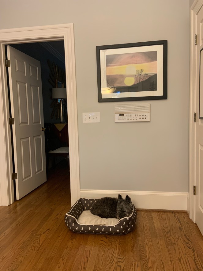 %CISbcx%QruCorj5ApLvsQ